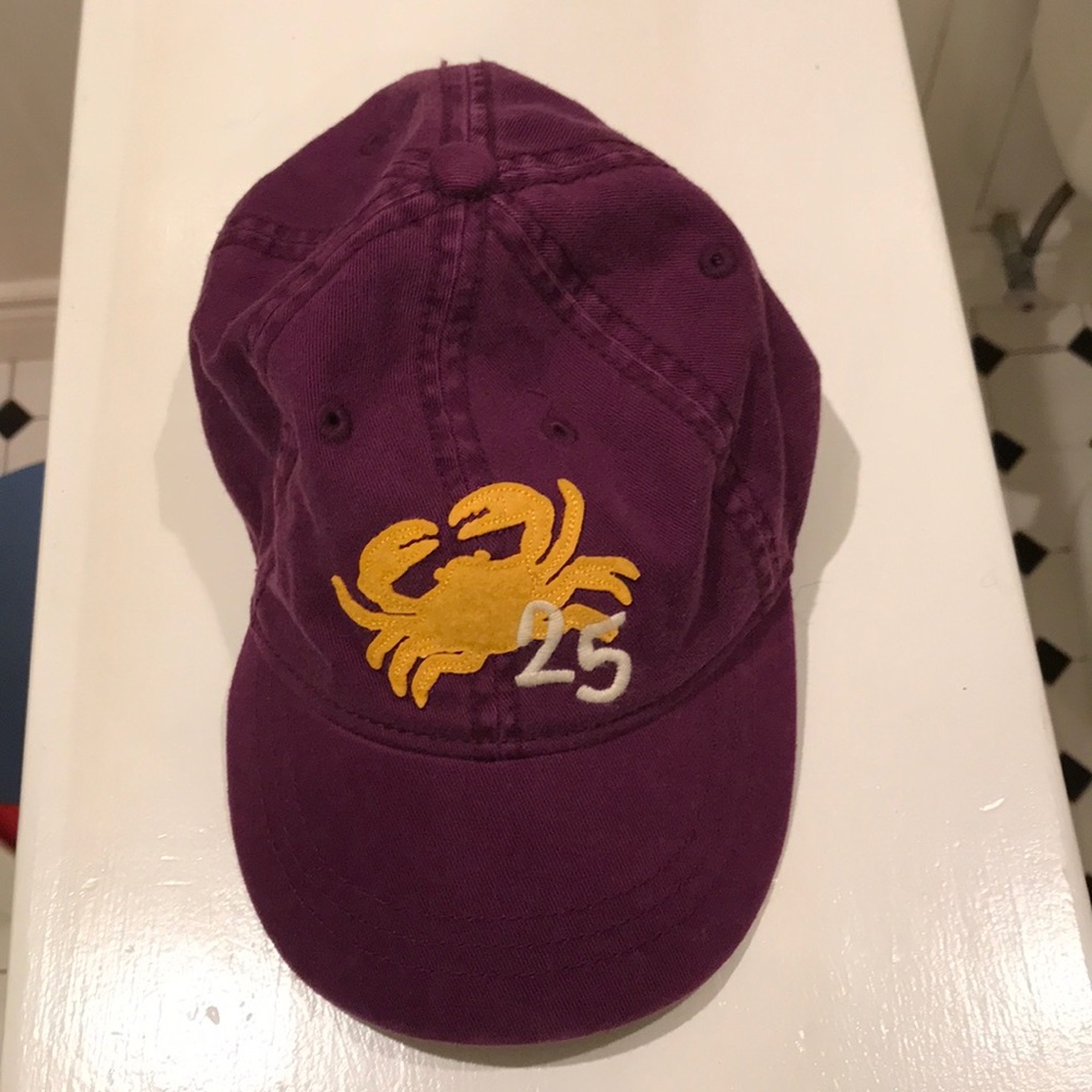 Children’s place 3T-4T purple baseball cap